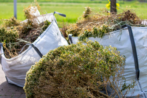 Best Recycling Services for Junk  in Central City, NE